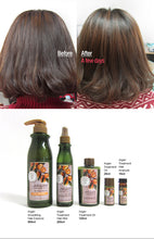 Load image into Gallery viewer, ARGAN Treatment Hair Mist 200ml
